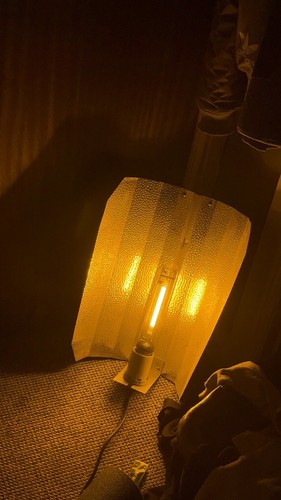 600w lumii digita grow - lumii,