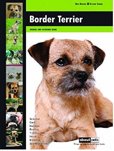 Border terrier dog breed - terrier:,