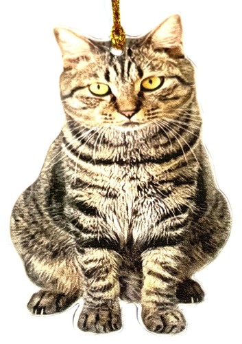Tabby kitten cat acrylic - cat,