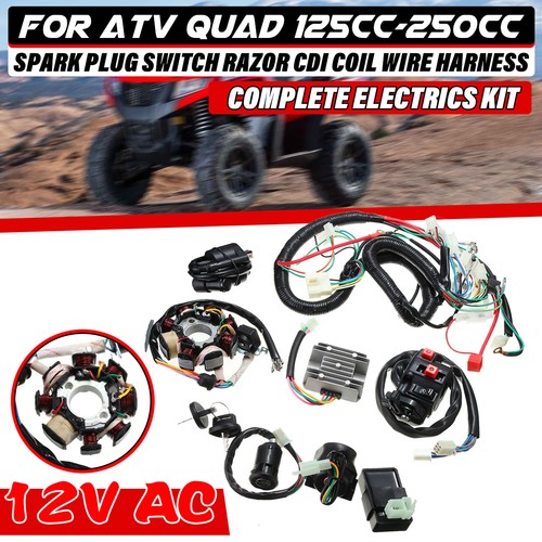 Cdi wire harness - wire, wiring