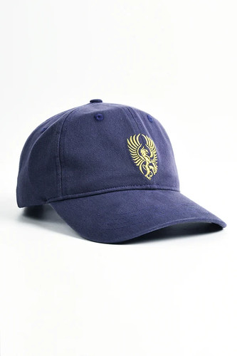 Dragon age grey wardens - grey,