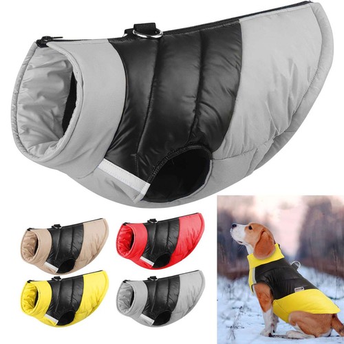 Dog winter jacket - winter, waterproof