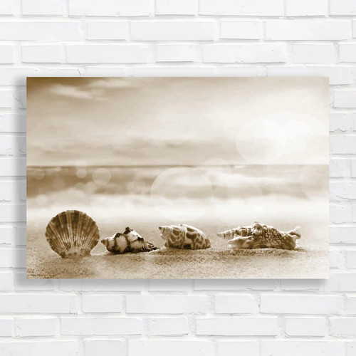 Coastal inspiration sea - sea, shells