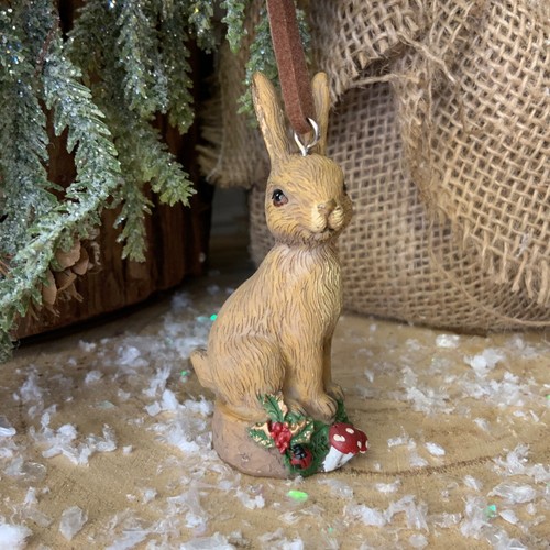 Rabbit sitting log - rabbit, on