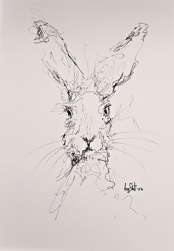 Original hare scribble ink - scribble,