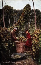 PC KENT HOP-PICKING TYPICAL
