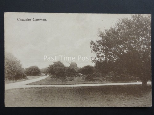 South croydon coulsdon - south, common