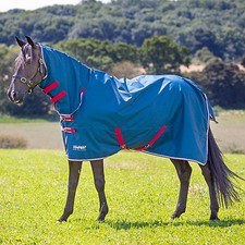 Shires Tempest Original Lite