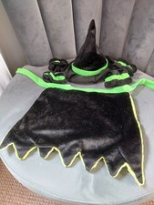 Halloween witch costume cat/small dog, Pets at Home