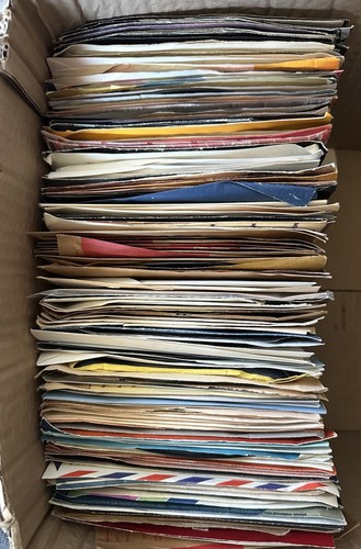 Fancy lot assorted 7 - fancy, 7"