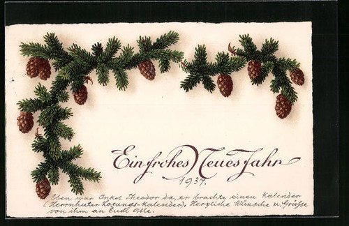 Fir branch with cones - ,, new