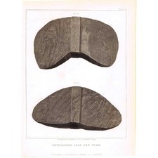 NATIVE AMERICAN INDIANS