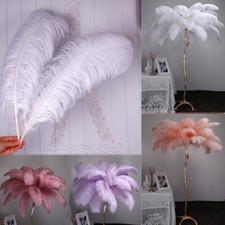 Natural Ostrich Feathers For