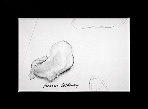David hockney signed postcard - david,