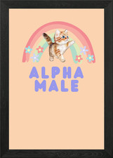 Alpha Male Kitten Framed Wall