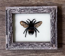 Indian Bee Reverse Glass
