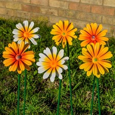 Woodside Yellow & Orange