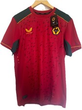 Wolverhampton wanderers wolves - wolverhampton,