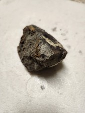 Rare LARGE WHOLE Lightly