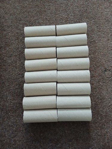 Empty toilet roll - 16,