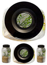 Praying Mantis,Stick Insect,Tarantula,Insect,Cage,Habitat,Enclosure SECONDS