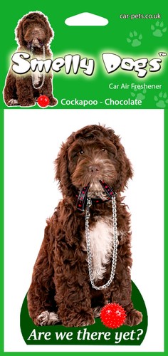 Cockapoo chocolate lovers - lovers, gift