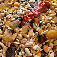 TROPICAL PARROT FOOD Colonels