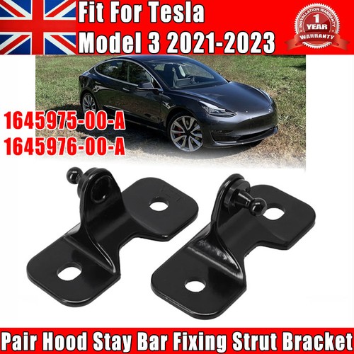 Fit tesla model - fit,