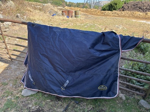 50g gallop turnout - 6’6”,