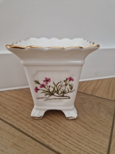 Brosnic bone china victoriana - bone,