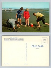 Westport, WA-Washington, Razor