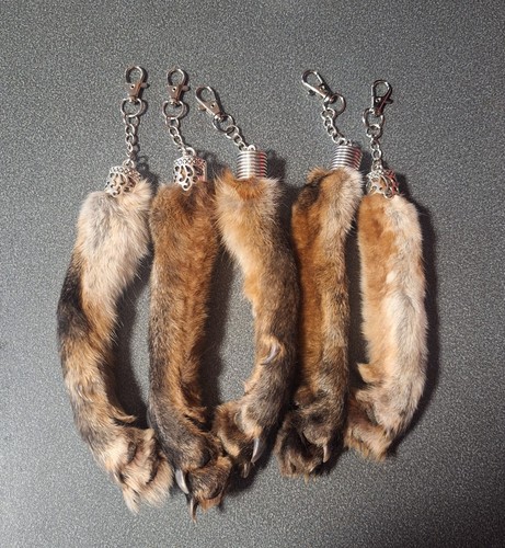 Large taxidermy fox paws - taxidermy,