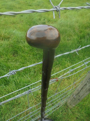 Irish blackthorn walking stick - irish,