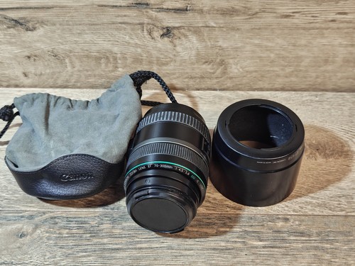 Canon 300mm 5 - ef, f/4.5-5.6