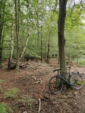 Triban RC 500 Road Bike Disc