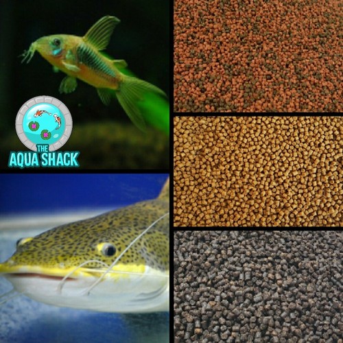 Assorted sinking catfish - sinking,