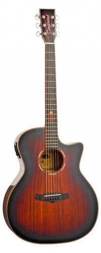 Tanglewood twx6cek winterleaf - tanglewood,