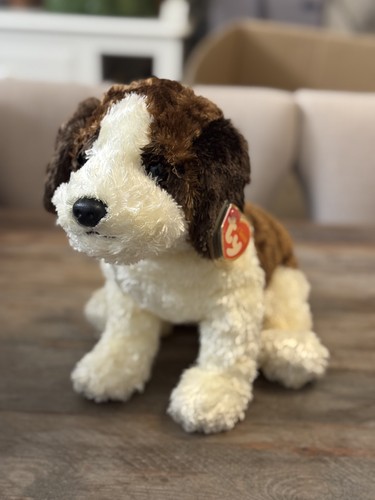 Rescue beanie dog puppy - ty,