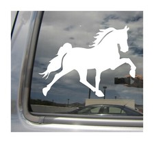 Tennessee Walking Horse Walker