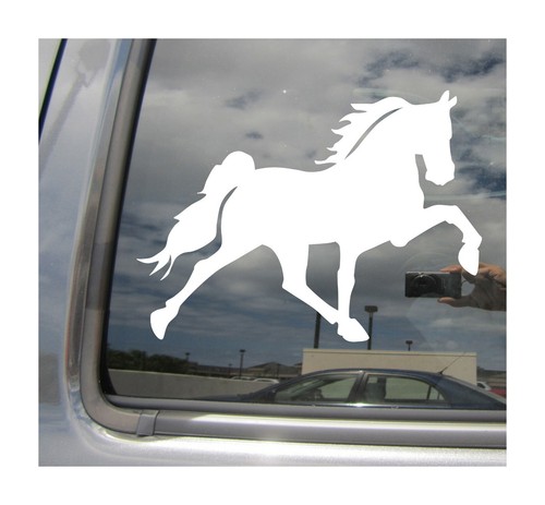 Tennessee walking horse walker - tennessee,