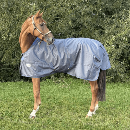 Bucas turnout light - turnout,