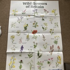 Gorgeous A1 poster of