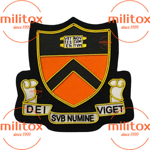 Princeton university crest - princeton,