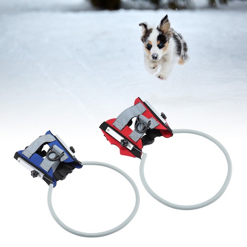 Blind pet halo - blind,