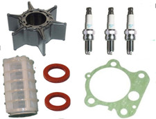 Impeller gasket plugs - impeller, filter