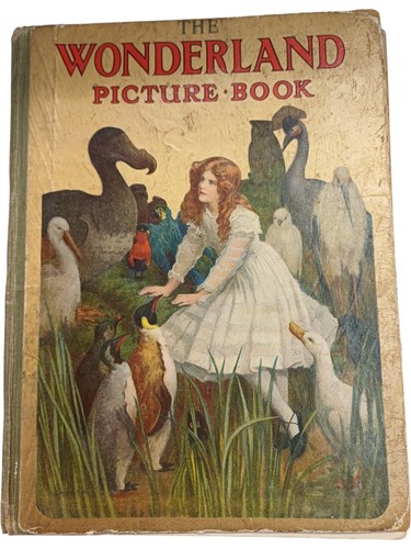 The wonderland picture book - wonderland,