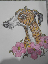 Greyhound whippet Lurcher  sighthound original pen and watercolour painting