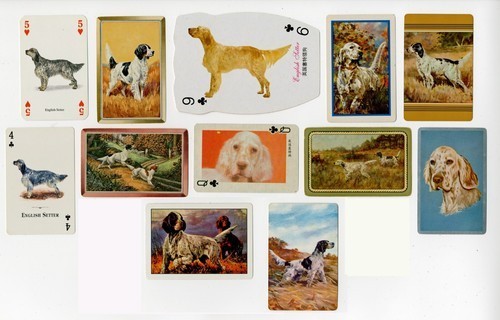 English setter collection - english, of