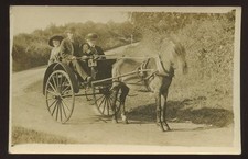 Horse drawn CARRIAGE pony & trap close early RP PPC