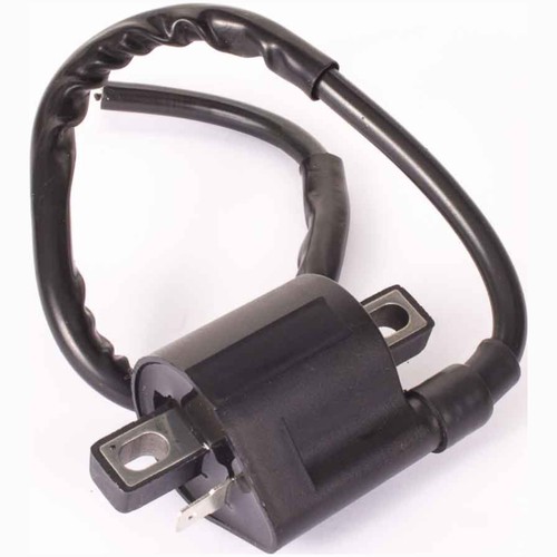 Ignition module coil - ignition,
